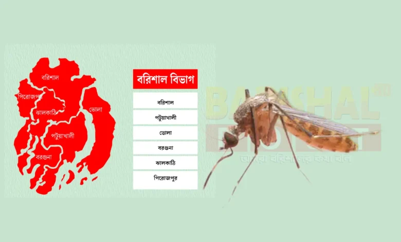 বরিশাল বিভাগে আরও ৬ জনের প্রাণ কাড়ল ডেঙ্গু
