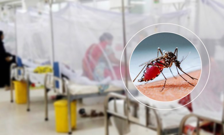 বরিশালে ডেঙ্গু আক্রান্তে প্রাণ গেলো তিনজনের
